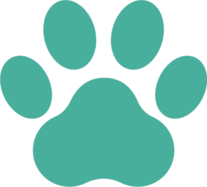 Patte animal